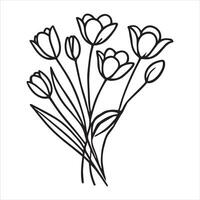 Tulip Symphony Illustration Design vector