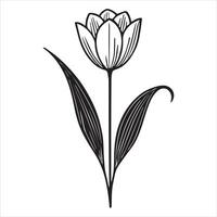 Blossoming Serenity Tulip Design vector