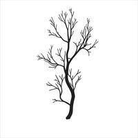 Soft Tree Branch Silhouette on Paper vector