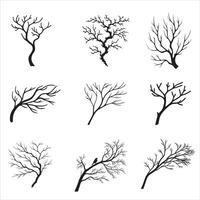Nature Inspired Tree Branch Silhouette Set vector
