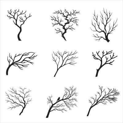Nature Inspired Tree Branch Silhouette Set
