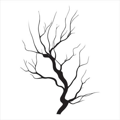 Serene Tree Branch Shadow Design