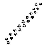 Mini Paw Print Pattern in Slanting Line vector