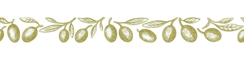 Olive branch pattern. Botanical ornament. Art sketch vector