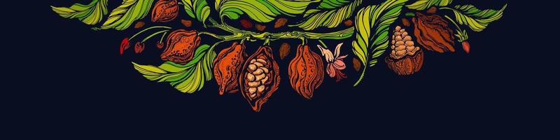 Cocoa tree banner, print Bean, leaves, choco fruit vector