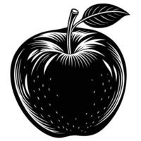 Silhouette of an apple on white background vector
