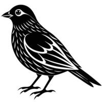 Silhouette of Bird in a Minimalist Style vector