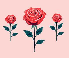 Red rose set Isolated on white background vector