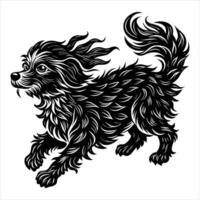Cavapoo Running Stock Photos, vector