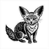 Fennec Fox Facts and Information vector