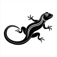 Silhouette of iguana. vector