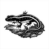 Leaopard gecko closeup with on moss wiyh black background vector