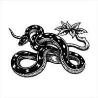 Flying snake eating a tree frog on black background Flyin vector