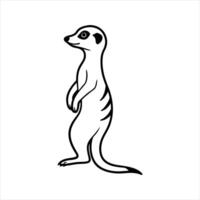 Meerkat Standing Images vector