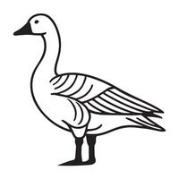 Illustration of a Snow Goose Bird vector