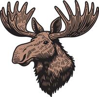 Moose head hand drawn character illustration vector