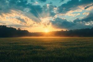 Dawn over field and forest in summer. Calm natural landscape. Generated by artificial intelligence. photo
