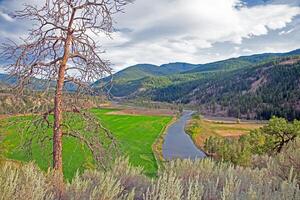River with surrounding green fields and mountains in British Columbia Canada photo