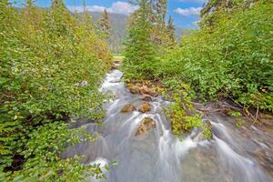 Wild river in the forest near Mt Garibaldi with clear water and lush greenery- photo