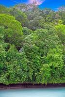 Tropical lagoon with turquoise water and lush rainforest in the background- photo