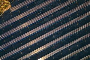 Top down revealing rising view man worker working at solar power station drive tractor in row of solar panels. A worker on a garden tractor mows grass on solar panel farm in Lithuania, Europe union. photo