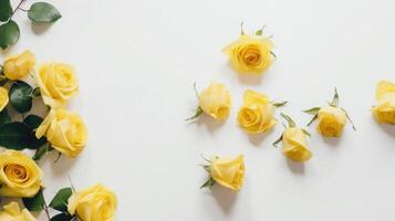 Top view spring flowers background, mother day background, blank space, yellow rose photo