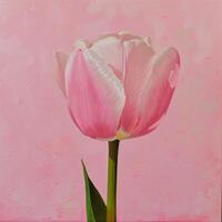 Top view spring flowers background, mother day background, blank space, pink tulip photo