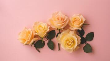 Top view spring flowers background, mother day background, blank space, rose, card photo