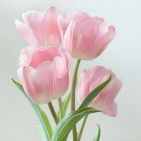 Top view spring flowers background, mother day background, blank space, white banner photo