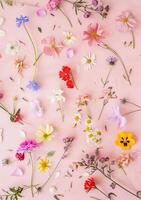 Top view spring flowers background, mother day background, modern photo