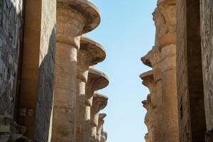 Ancient row of two columns luxore photo