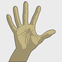 A hand with a finger up and a palm vector