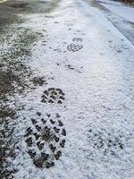 Footprints in fresh snow. Natural background with snow texture., copyspace. photo