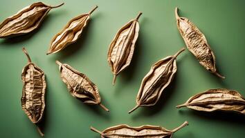 Dry tamarind pods arranged on a green background showcasing their unique texture and natural look perfect for culinary or agricultural themes photo