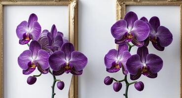 Intricate Clusters of Deep Purple Orchids Placed in the Top Left and Bottom Right Corners of a Golden Frame photo