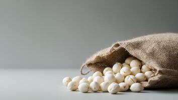 A sack full of macadamia nuts on a gray background photo