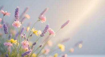 enchanting ballet of colorful flowers and refreshing morning breezes c photo