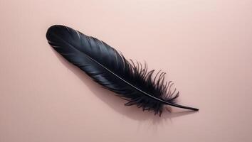 Black feather on pastel pink background displaying soft shadows and ample space for text in a stylish banner mockup design photo