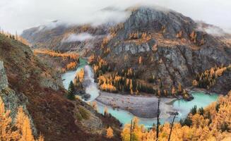 morning landscape with mountain river in valley with forest in autumn colors on background of snowy mountains silhouettes under foggy and cloudy sky. Beautiful mountain valley in autumn. photo