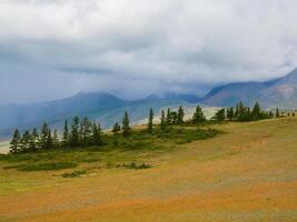 cedar forest and high mountain range in sunlight under cloudy sky in changeable weather. photo