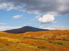 Colorful mountain landscape with a diagonally hillside in golden sunlight in autumn in pastel colors. Mountain plateau with a dwarf birch of the red color of the sunlit mountainside. photo