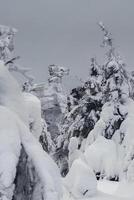 rock is frozen and covered with snow. photo
