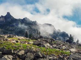 Sunny mountain top step thin forest. Mountains in the low clouds photo