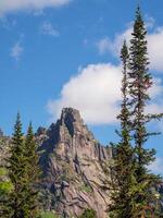 Wonderful view to beautiful rock with coniferous trees photo