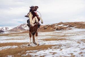 Wild horse are running to freedom on snow field. photo