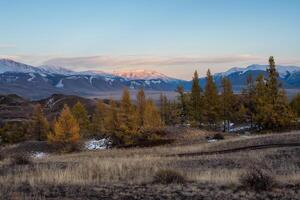 Amazing evening alpine landscape with a high mountain peak behind the forest photo