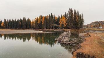 Mountain alpine autumn river with reflection forest in the bank. photo