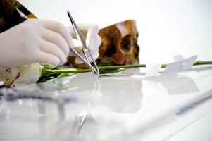 human skull in hands Close up florist working in a flower shop and cutting flower stem with pruning shears while making composition arrange. Pruner. photo