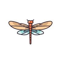 Brightly colored dragonfly with delicate wings vector