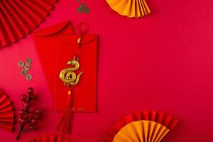 Chinese new year concept. Lunar year of snake photo